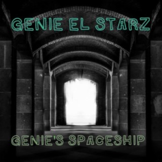 Genie's Spaceship