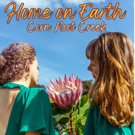 Home on Earth | Boomplay Music