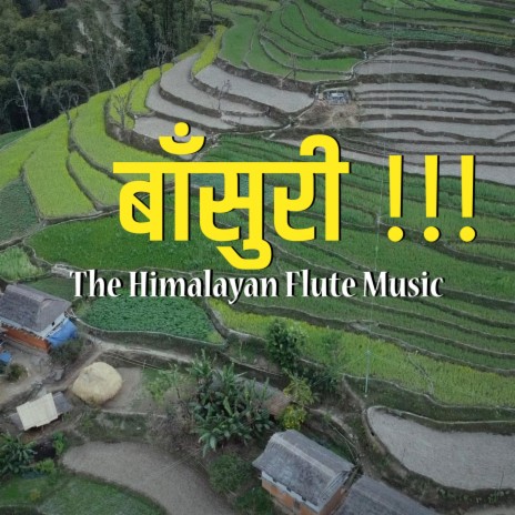 Bamboo Flute Music , Himalayan Flute Music , Morning Music ,Relaxing Flute Music, बाँसुरी | Boomplay Music