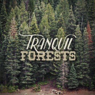 Tranquil Forests