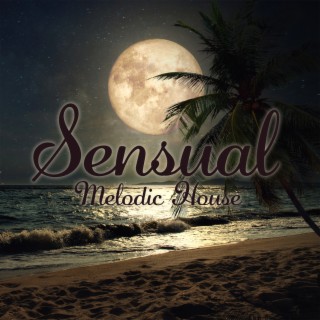 Sensual Melodic House – Formentera Beach Club 2023