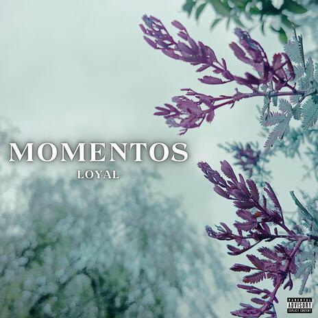 Momentos | Boomplay Music