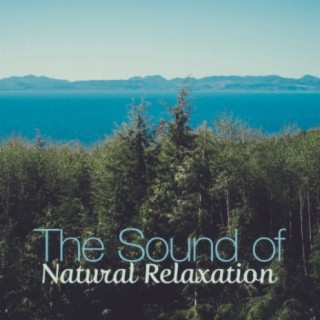 The Sound of Natural Relaxation