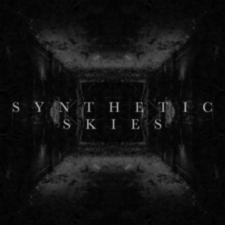 Synthetic Skies (feat. Kyle Weeden)
