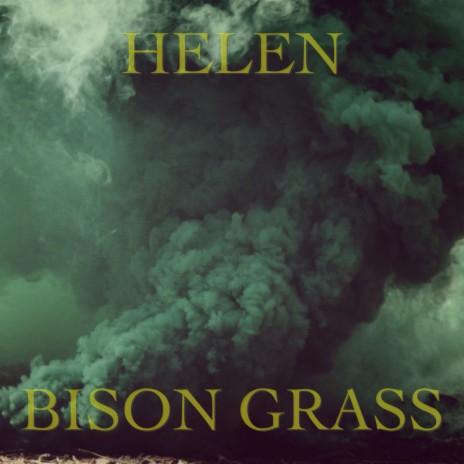Bison Grass | Boomplay Music