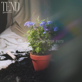 Tend (Live)