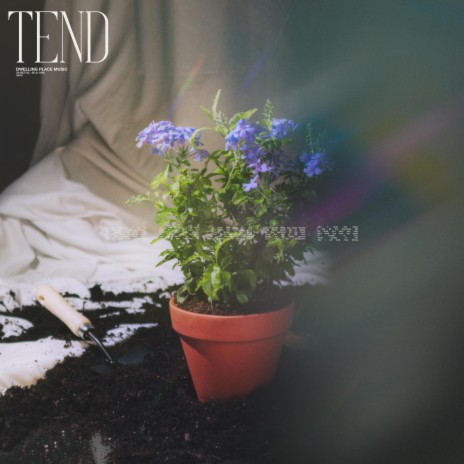 Tend (Live)