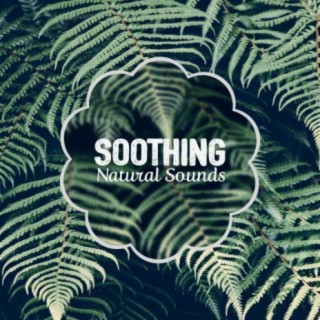Soothing Natural Sounds