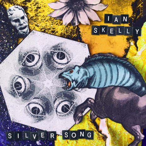 Silver Song | Boomplay Music