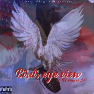 birds eye view