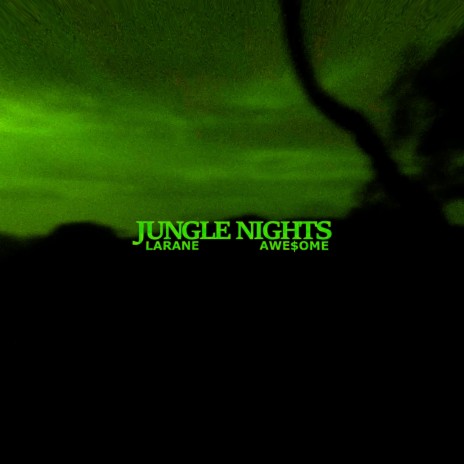 Jungle Nights | Boomplay Music