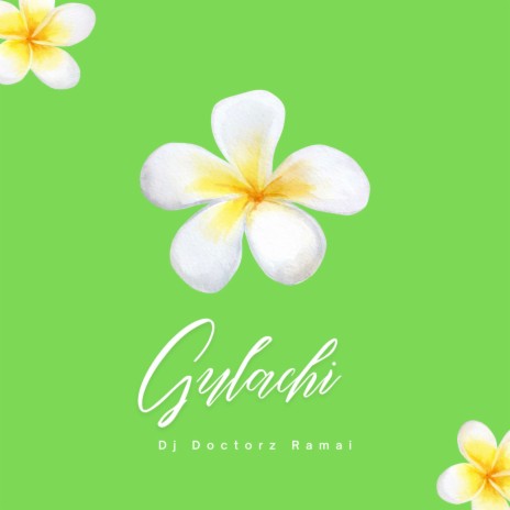 Gulachi | Boomplay Music