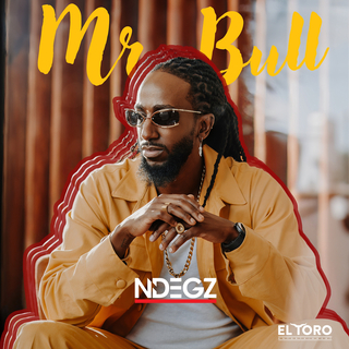 Mr. Bull