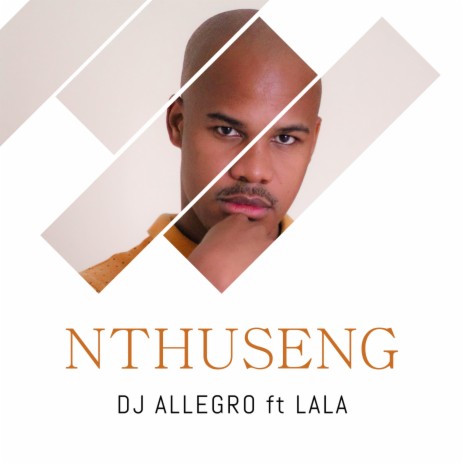 Nthuseng (feat. Lala) | Boomplay Music