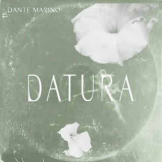 Datura lyrics | Boomplay Music