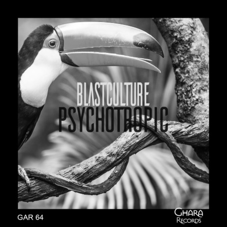 Psychotropic (Original Mix) | Boomplay Music