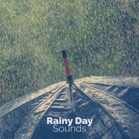 Rain on the Tarp | Boomplay Music