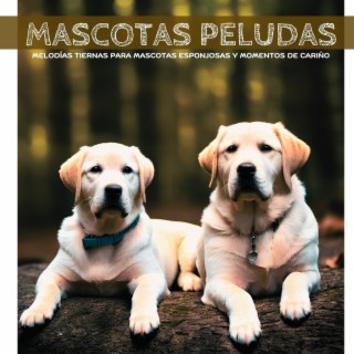 Mascotas Peludas: Melodías Tiernas para Mascotas Esponjosas y Momentos de Cariño