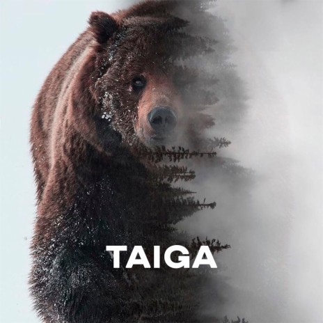 TAIGA | Boomplay Music