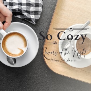 So Cozy - Flavors of the Night