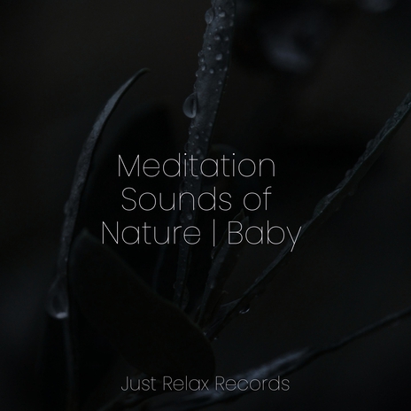 Harmony in Rainwater ft. Musica Romantica Ensemble & Lullabies for Deep Meditation | Boomplay Music