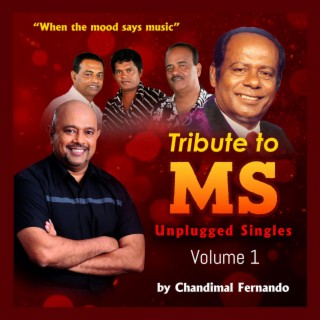 Tribute to MS Unplugged Volume 01