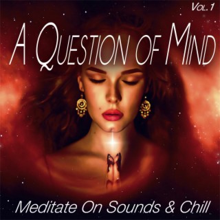 A Question of Mind, Vol.1 - Meditate on Sounds & Chill