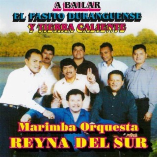 Marimba Orquesta Reyna Del Sur