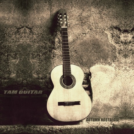 Tam Guitar - Sad Love Story MP3 Download & Lyrics | Boomplay