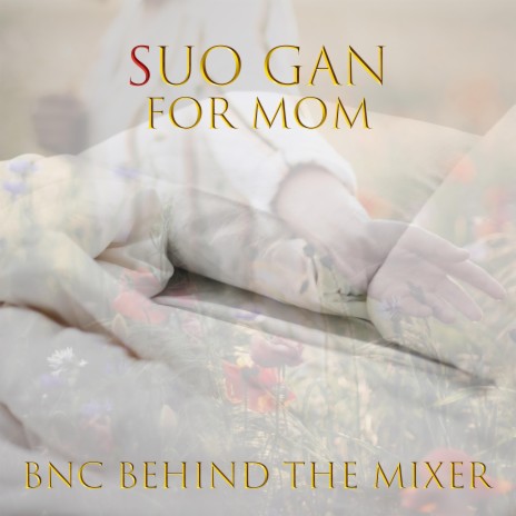 SUO GAN For Mom