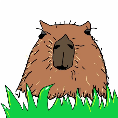 Capybara (Ok I Pull up) | Boomplay Music
