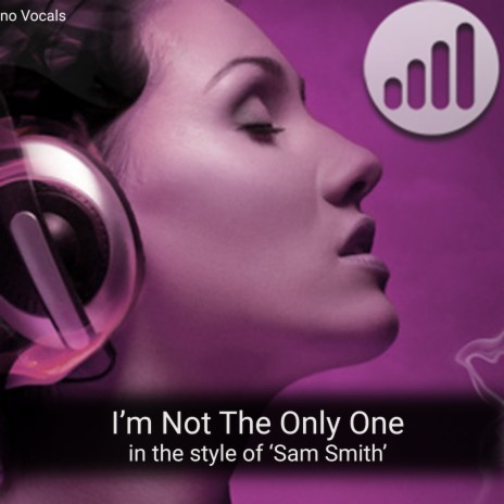 I'm Not The Only One (in the style of 'Sam Smith') Karaoke Version | Boomplay Music