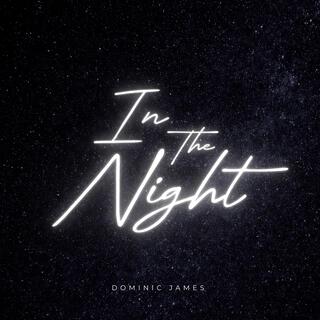 In The Night lyrics | Boomplay Music