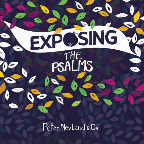 Running out of Excuses - Psalm 51