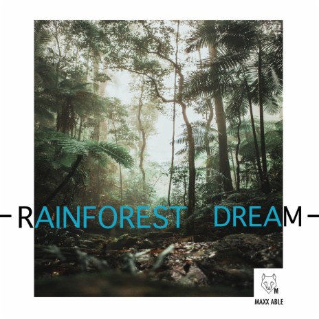 Rainforest Dream | Boomplay Music