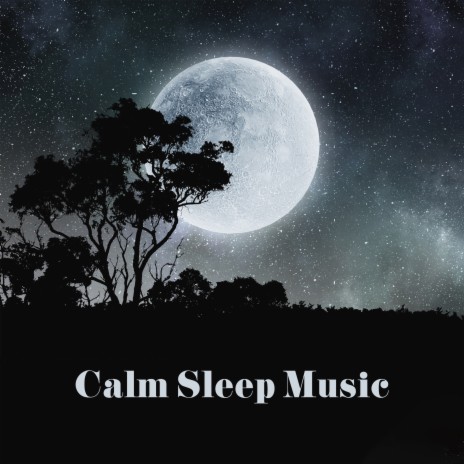 Peaceful Night | Boomplay Music