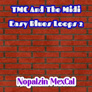 TMC And The Midi Easy Blues Loops 2