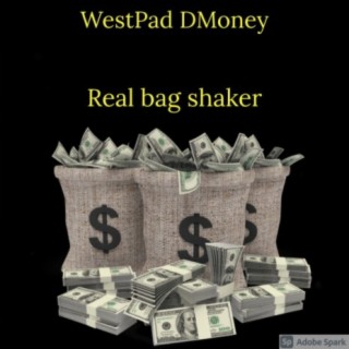 Real Bag Shaker