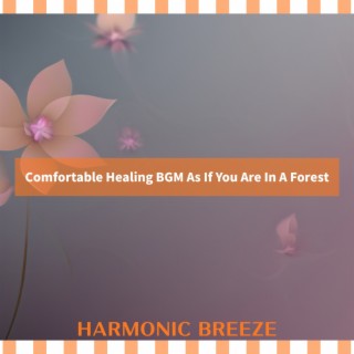 Comfortable Healing BGM As If You Are In A Forest