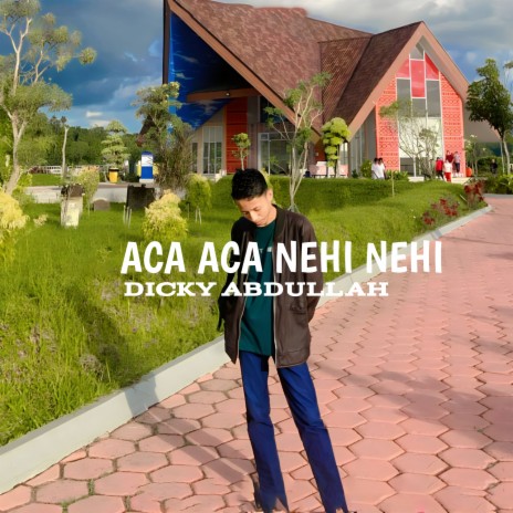 ACA ACA NEHI NEHI | Boomplay Music