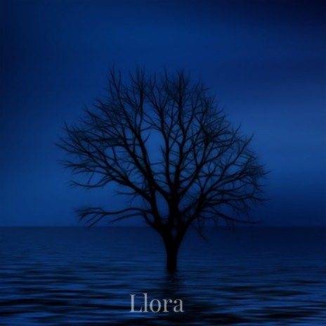 Llora | Boomplay Music