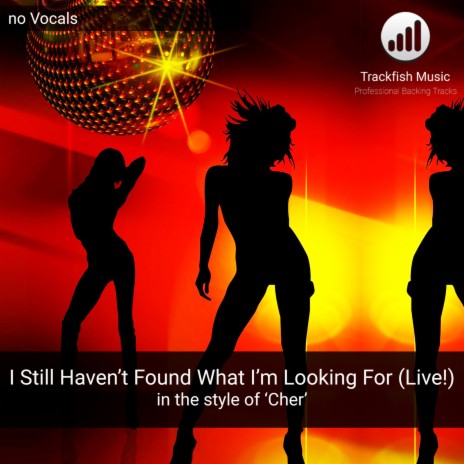 I Still Haven't Found What I'm Looking For LIVE! (No Vocals in the style of 'Cher') Karaoke Version