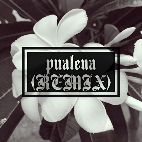 Pualena (Remix) | Boomplay Music