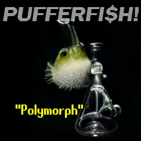 Polymorph | Boomplay Music