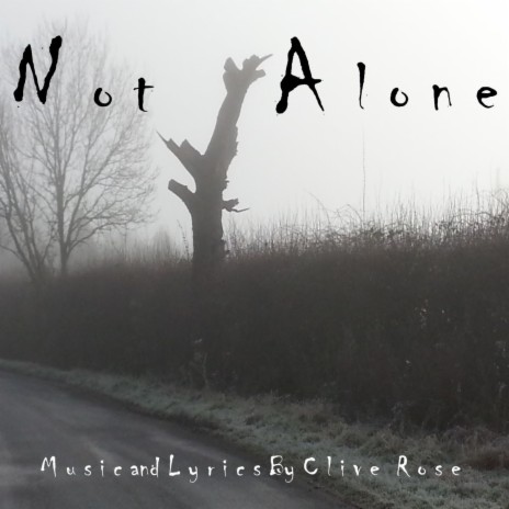 Not Alone | Boomplay Music