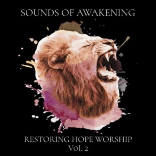Sounds of Awakening Vol.2
