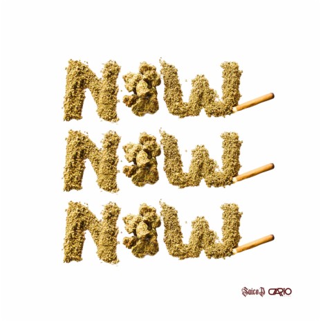 NOW NOW NOW | Boomplay Music