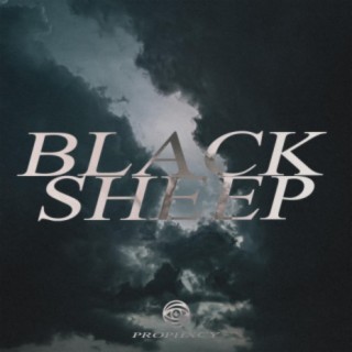 Black Sheep