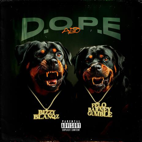 D.O.P.E | Boomplay Music