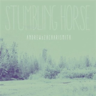 Stumbling Horse